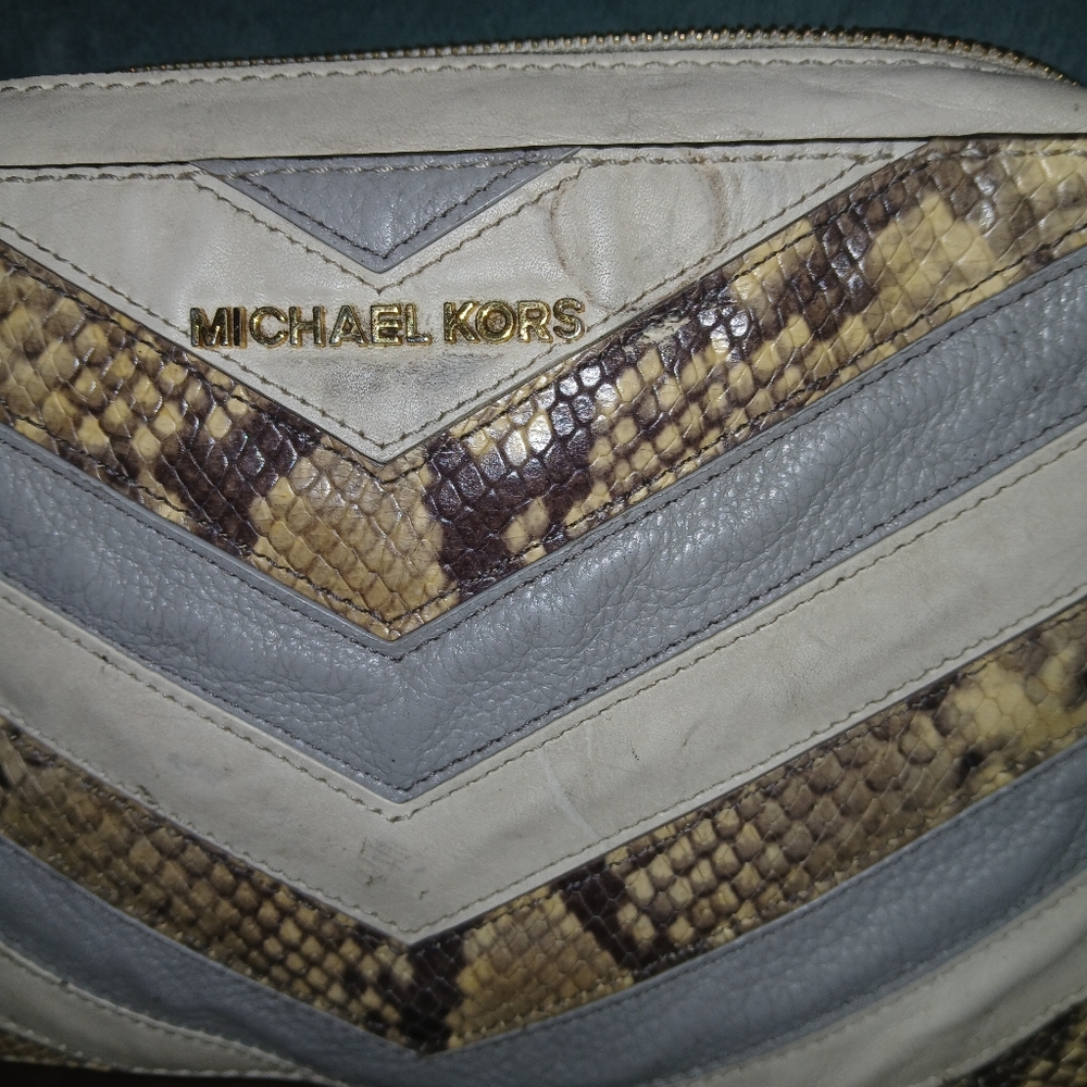 Michael Kors Needs Cleaned Up - Picture 4 of 11